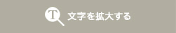 文字サイズ変更はこちら