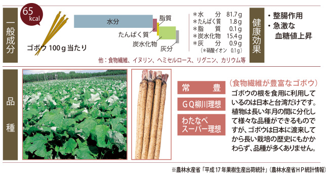 つがるブランドデータ「ゴボウ」」