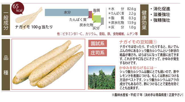 つがるブランドデータ「ナガイモ」